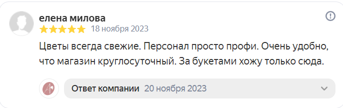 Отзыв на Яндекс от 18-11-2023