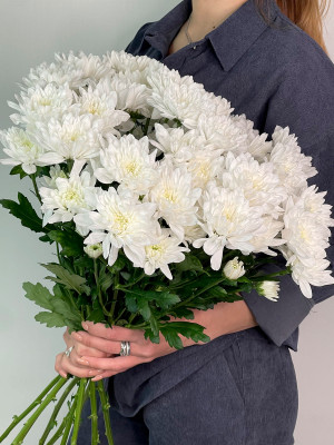 Цветы поштучно «Хризантема  кустовая белая Евро»