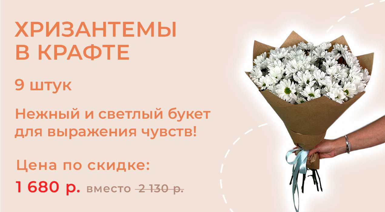 Хризантемы 9 шт.