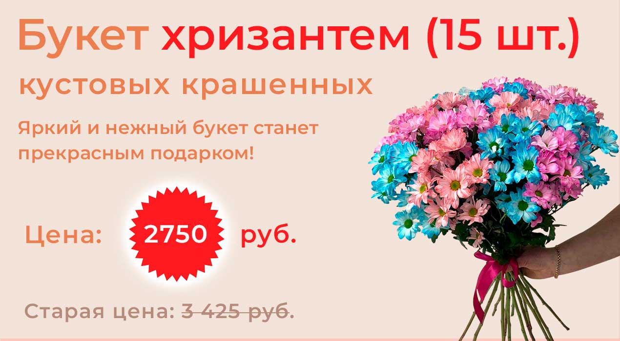 Хризантема кустовая крашенная 15 шт.
