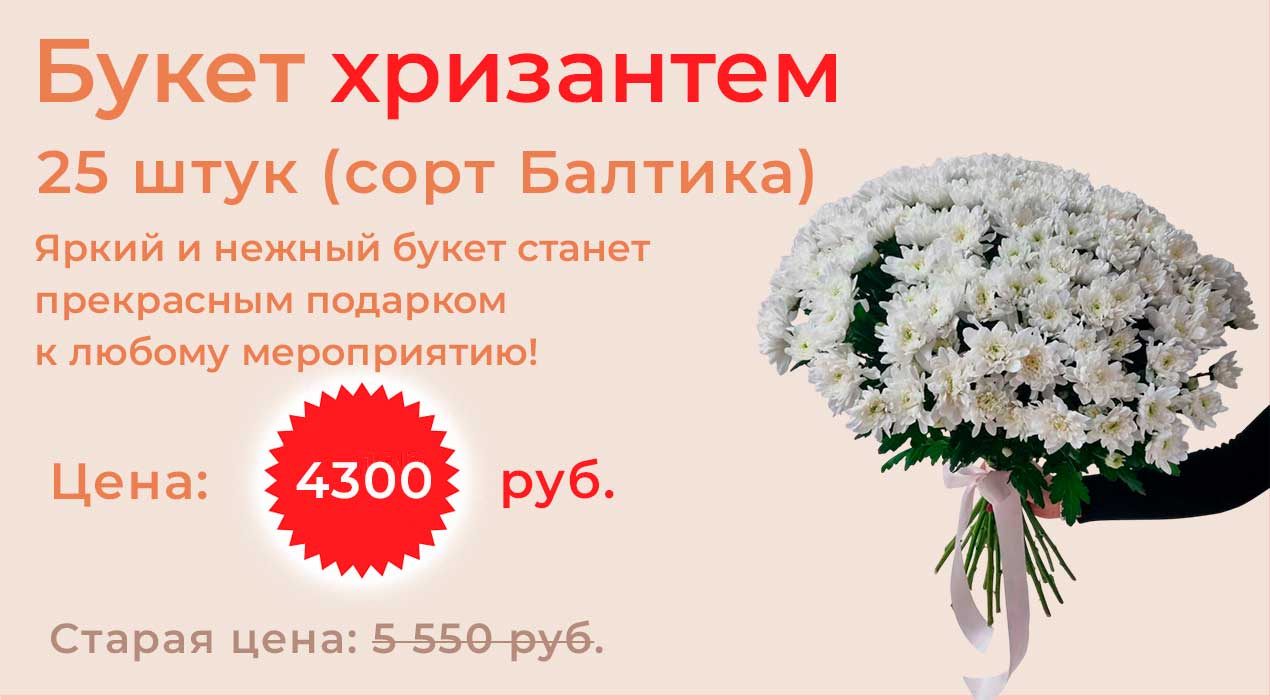 Букет хризантем 25 шт.