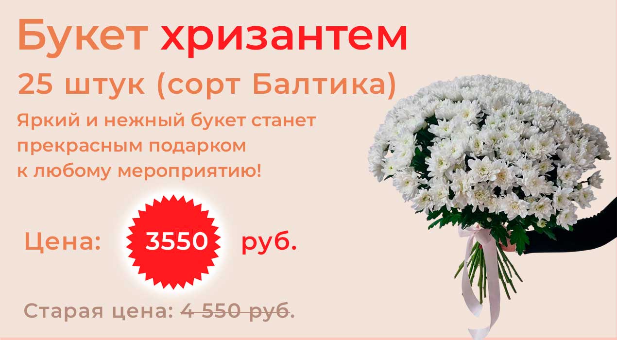 Букет хризантем 25 шт.