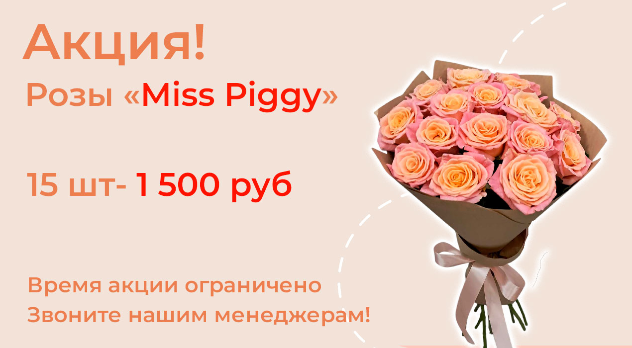 Розы «Miss Piggy» 15 шт. по суперцене