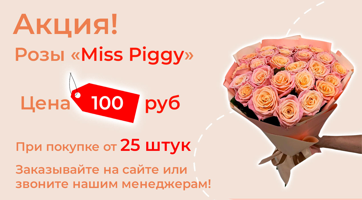 Розы «Miss Piggy» по суперцене