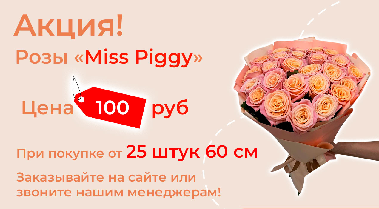 Розы «Miss Piggy» по суперцене