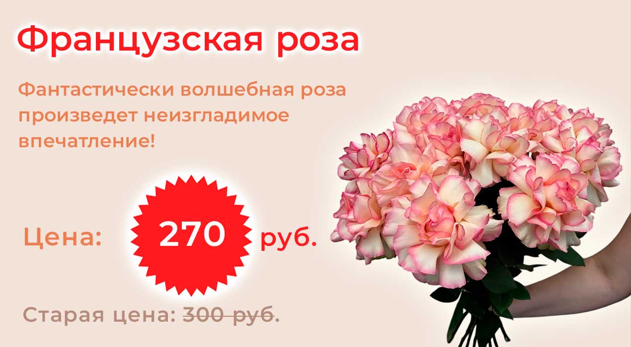 Французская роза по акции