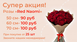 Розы «Red Naomi» по выгодной цене!