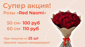 Розы «Red Naomi» 25 шт. по выгодной цене!