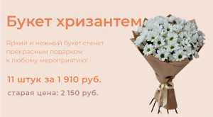 Букет из белых хризантем (11 шт) за 1 910руб