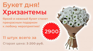 Букет из белых хризантем (11 шт)