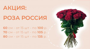 Роза Россия от 15 шт. по 100 руб