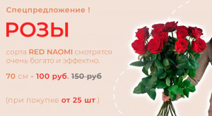 Розы Red Naomi от 15 шт.