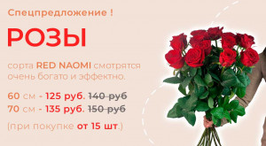 Розы Red Naomi от 15 шт.
