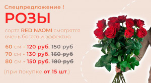 Розы Red Naomi от 15 шт.