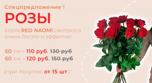 Розы Red Naomi от 15 шт.