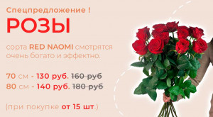 Розы Red Naomi от 15 шт.