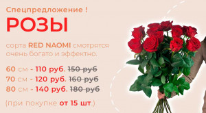 Розы Red Naomi от 15 шт.