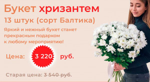Букет Хризантем 13 шт