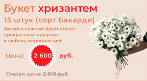 Букет хризантем 15 шт. за 2600 руб.