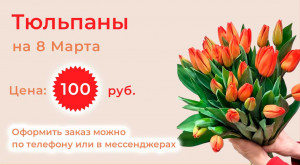 Тюльпаны по 100 руб