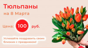 Тюльпаны по 100 руб