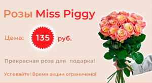 Розы «Miss Piggy»