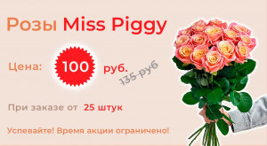 Розы «Miss Piggy»