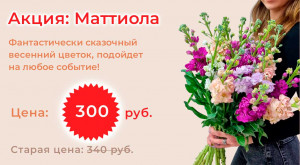 Акция на Маттиолу