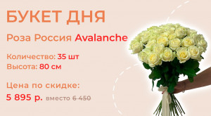 Роза Россия Avalanche 35 шт