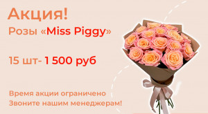 Розы «Miss Piggy» 15 шт. по суперцене