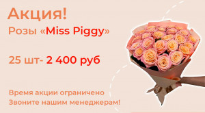 Розы «Miss Piggy» 25 шт. по суперцене