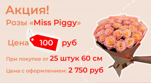 Розы «Miss Piggy» по суперцене