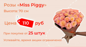 Розы «Miss Piggy» по суперцене