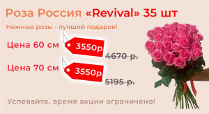Роза Россия «Revival» (35 шт)