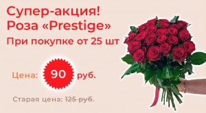 Роза «Prestige» 25 шт