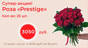 Роза «Prestige» 25 шт