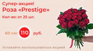 Роза «Prestige» 25 шт