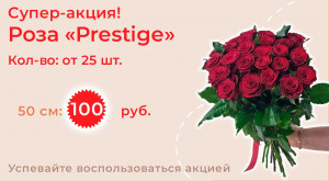 Роза «Prestige» 25 шт