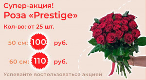 Роза «Prestige» 25 шт