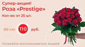 Роза «Prestige» 25 шт