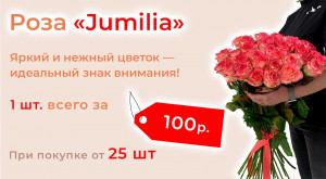 Роза Россия Jumilia 35 шт