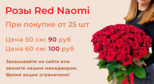 Розы Red Naomi при покупке от 25 шт