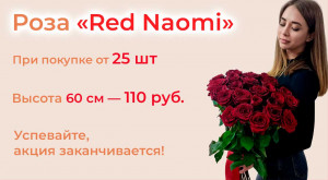 Роза «Red Naomi» от 25 шт.
