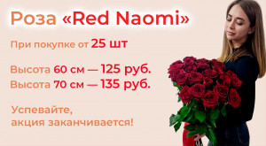 Роза «Red Naomi» от 25 шт.