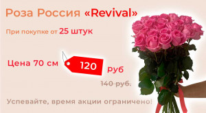 Роза «Revival» 25 шт