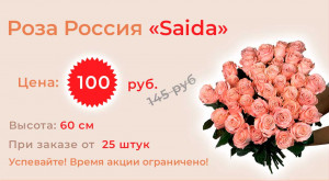 Роза Saida поштучно