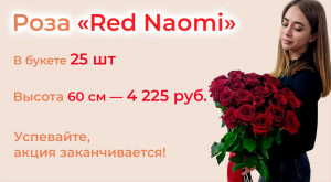 Розы «Red Naomi» 25 шт. под ленту
