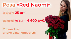 Розы «Red Naomi» 25 шт. под ленту