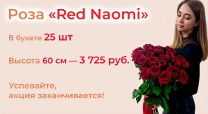 Розы «Red Naomi» 25 шт. под ленту