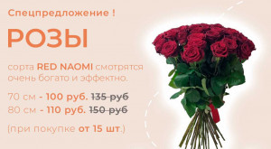 Скидка до 35% на розы Red Naomi